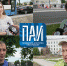 Мир, дружба, собачка. Псковичи ответственно относятся к домашним животным - InformPskov.Ru