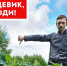 Борщевик Сосновского вредное и опасное растение. Фото афиша пространства «Лофт» - InformPskov.Ru