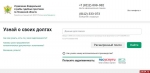 Банком данных исполнительных производств псковичи воспользовались более 120 тысяч раз