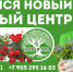 Подарок псковским дачникам: Пять причин побывать в новом садовом центре - Pln-Pskov.Ru