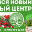 Подарок псковским дачникам: пять причин побывать в новом садовом центре - BusinessPskov.Ru