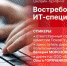 Начинается видеотрансляция пресс-конференции «Востребованность ИТ-специальностей» - Pln-Pskov.Ru