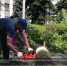 Опубликовано видео с внепланового субботника в Великих Луках - Pln-Pskov.Ru