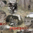Военно-мемориальный комплекс «Себежский укрепрайон» начнут создавать летом - Pln-Pskov.Ru