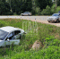 По дороге за клубникой компания на Kia Rio попала в ДТП в Гдовском районе - InformPskov.Ru