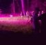 Полиция пресекла лесной «Open Air» в Пскове. ВИДЕО - Pln-Pskov.Ru