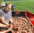 Фермеры Псковской области получат право торговать произведенными продуктами на своих участках - Псковская правда