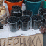 Сезон не выдался: в Пскове подорожала черника - InformPskov.Ru