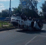 Фото Владимира Лысого - InformPskov.Ru