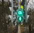 Фото Дарьи Хватковой. - InformPskov.Ru