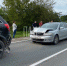 Раненая собака стала причиной тройного ДТП в Печорском районе - InformPskov.Ru