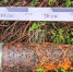Фото: ПАИ. - InformPskov.Ru