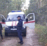 4 человека потерялись в лесах Псковской области за сутки - Pln-Pskov.Ru