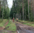 Фото из архива ПАИ - InformPskov.Ru