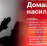 Пресс-конференция «Домашнее насилие». ВИДЕО - Pln-Pskov.Ru