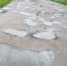 Наша взяла! - ЛДПР