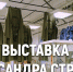 «Достоевский и коронавирус» приоткрыли  Пушкинский театральный фестиваль - InformPskov.Ru