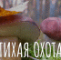 Книга рецептов: гости псковского медиацентра о тихой охоте и любимых грибных блюдах - InformPskov.Ru
