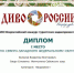 Себежанин стал победителем конкурса туристических видеопрезентаций - Pln-Pskov.Ru