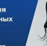Вакания дня: появилась возможность присоединиться к сообществу влюбленных в спорт - BusinessPskov.Ru