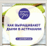 Анонс программы «Формула еды» - Роспотребнадзор