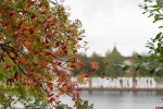 Осень в городе