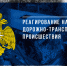 Реагирование    на       дорожно-транспортные     происшествия - МЧС Псковской области