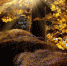 Фото с сайта pixabay.com. - InformPskov.Ru