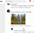 В соцсетях запустили фейк о найденной в Пскове бутылке из «Орла и Решки» - InformPskov.Ru
