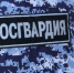 Псковичи получают вознаграждение за добровольную сдачу оружия - InformPskov.Ru