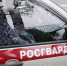 Более 200 правонарушений пресекла псковская Росгвардия за девять месяцев - InformPskov.Ru