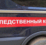 В Пскове возбудили уголовное дело по факту убийства новорожденного ребенка - Pln-Pskov.Ru