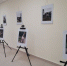 Посвященная особенным людям фотовыставка открылась в Пскове - Pln-Pskov.Ru