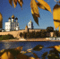 Фото Юрия Яковлева - InformPskov.Ru