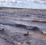 Фото: ПАИ. - InformPskov.Ru