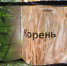 Видеоскульптура «Корень» французской художницы Анн-Софи Эмар представлена в галерее «ЦЕХ» - InformPskov.Ru