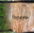 Видеоскульптура «Корень» представлена в галерее «ЦЕХ» - BusinessPskov.Ru