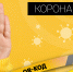 Австрия вводит локдаун для невакцинированных от COVID-19 - InformPskov.Ru