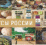 В топ-лист конкурса «Вкусы России» вошли три продукта псковских производителей - Псковская правда
