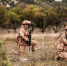 Фильм о реальных событиях с российским летчиком идет в кинотеатре Пскова - BusinessPskov.Ru