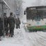 Интерактив: Зайцы поневоле - Pln-Pskov.Ru