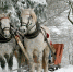 Фото с сайта pixabay.com. - InformPskov.Ru