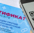 Ростовчане проходят в торговые центры по QR-кодам от утюгов и куриц. Фото  Вконтакте - InformPskov.Ru