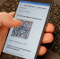 В регионы повторно направили законопроект о QR-кодах в общественных местах - Pln-Pskov.Ru