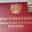 Девять спортсменов Псковской области стали кандидатами в мастера спорта - InformPskov.Ru