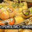 Родина греческого сыра на псковской земле. Сыроварня «Тремпелис» приглашает в гости - InformPskov.Ru