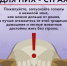 Псковичей призвали не тревожить домашних животных новогодними салютами - Pln-Pskov.Ru