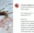 Псков,убитые собаки - ИА Невские Новости