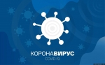 В Псковскую область поступило 16 600 экспресс-тестов на коронавирус