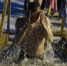 Незакалённым псковичам врачи не рекомендуют купаться в Крещение - Псковская правда
